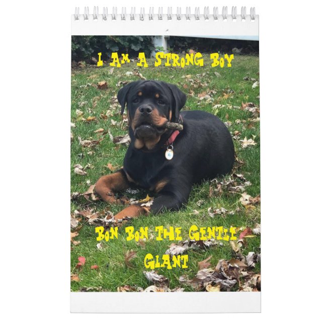 Rottweiler Calendar  Kalender (Titelbild)