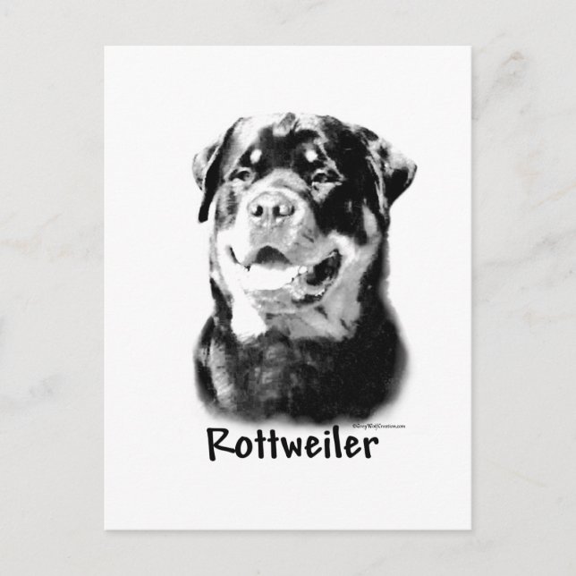 Rottweiler Charcoal Postkarte (Vorderseite)