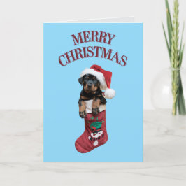 Rottweiler Christmas Strumpf Feiertagskarte