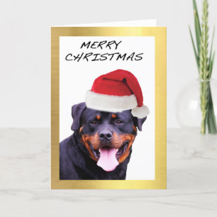 "Rottweiler" Design Weihnachtskarten Feiertagskarte
