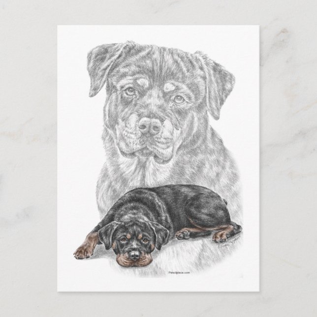Rottweiler Dog Art Postkarte (Vorderseite)