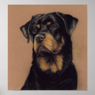 Rottweiler Dog Art Print Poster