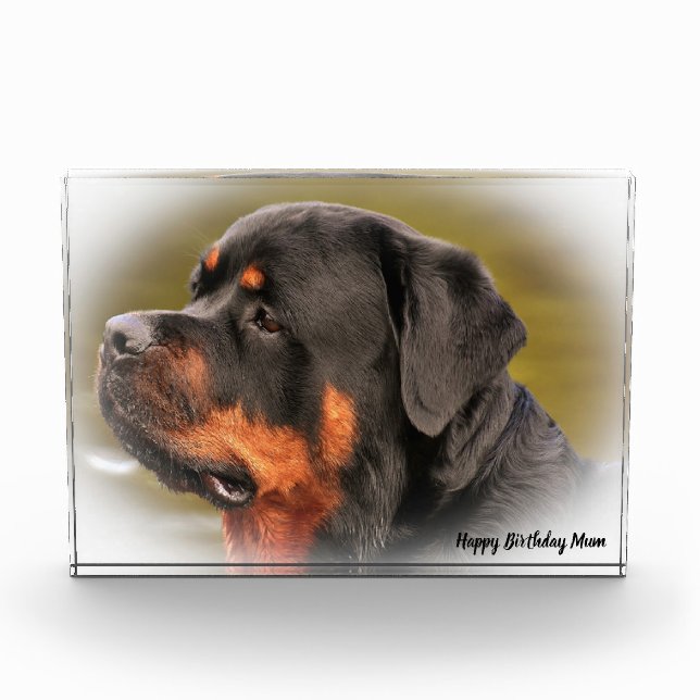 Rottweiler Dog Fotoblock (Vorderseite)