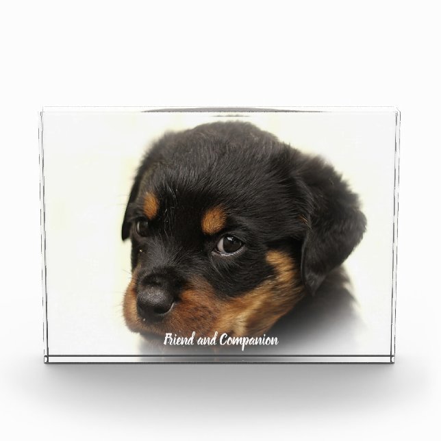 Rottweiler Dog Fotoblock (Vorderseite)