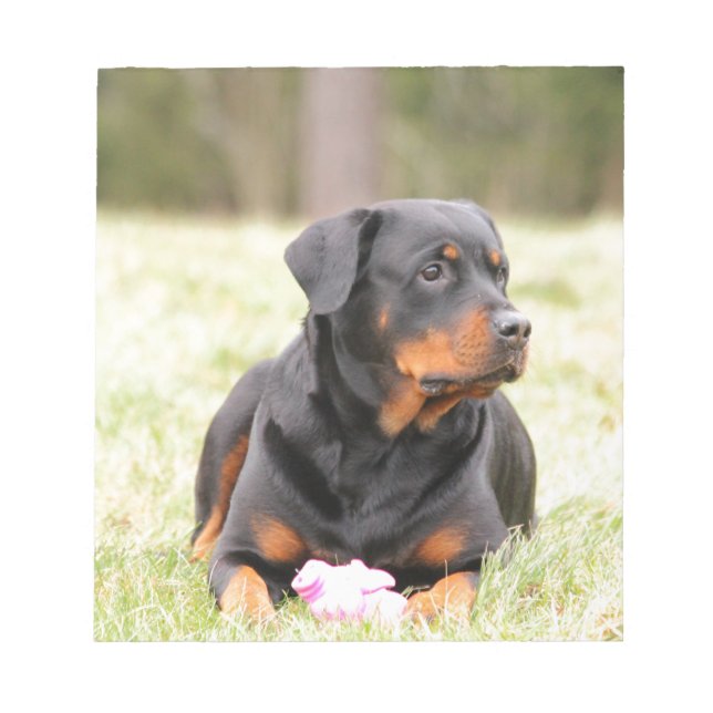 Rottweiler Dog Notizblock (Vorderseite)