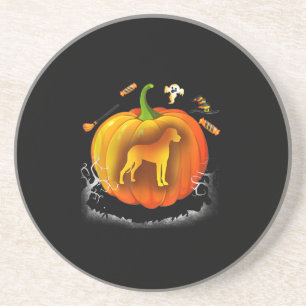 Rottweiler dog Pumpkin Costume Halloween Getränkeuntersetzer