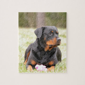 Rottweiler Dog Puzzle