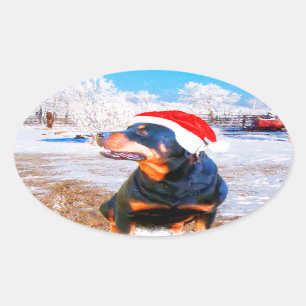 Rottweiler Dog Weihnachtsmalerei Ovaler Aufkleber