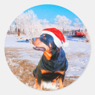 Rottweiler Dog Weihnachtsmalerei Runder Aufkleber