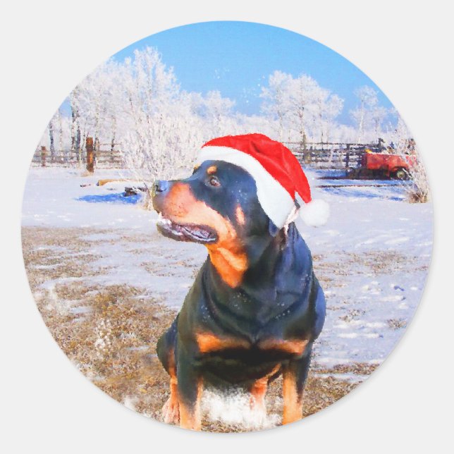 Rottweiler Dog Weihnachtsmalerei Runder Aufkleber (Vorderseite)