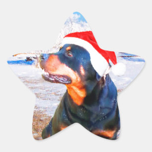 Rottweiler Dog Weihnachtsmalerei Stern-Aufkleber