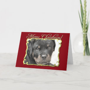 Rottweiler Feiertagskarte