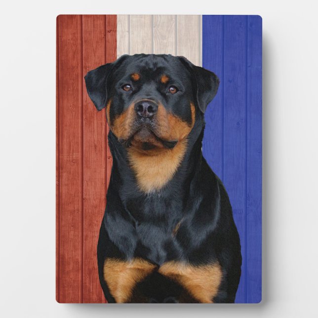 Rottweiler Fotoplatte (Vorderseite)