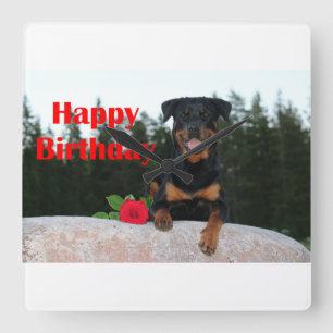 Rottweiler-glücklicher Geburtstag Quadratische Wanduhr