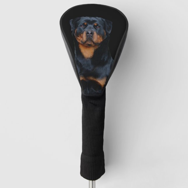 Rottweiler  golf headcover (Vorderseite)