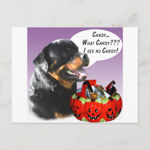 Rottweiler Halloween Candy Postkarte