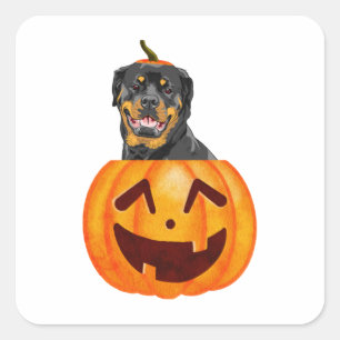 Rottweiler Halloween Quadratischer Aufkleber