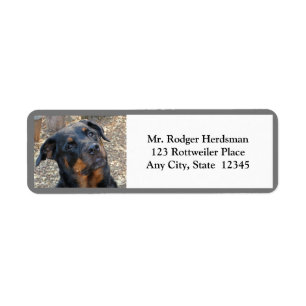 Rottweiler Head Tilt Cutness Rücksendeadressen-Au