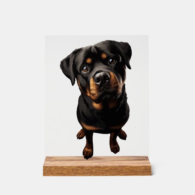 Rottweiler Hund Acrylschild (Vorderseite)
