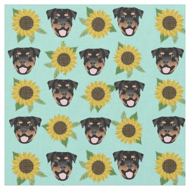 Rottweiler-Hund hat Sonnenblumenminze Stoff (Nahaufnahme)