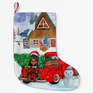 Rottweiler Hund in der Weihnachtslieferung LKW Sch Kleiner Weihnachtsstrumpf