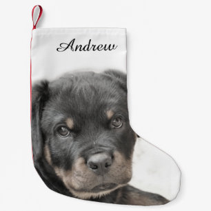 Rottweiler Hund Kleiner Weihnachtsstrumpf