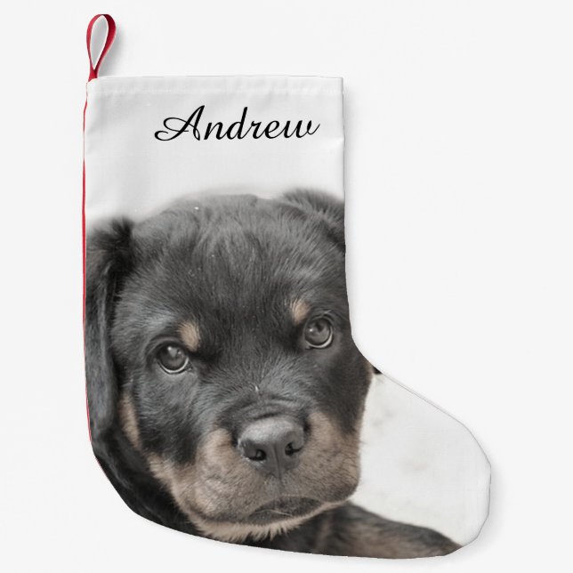 Rottweiler Hund Kleiner Weihnachtsstrumpf (Vorderseite)