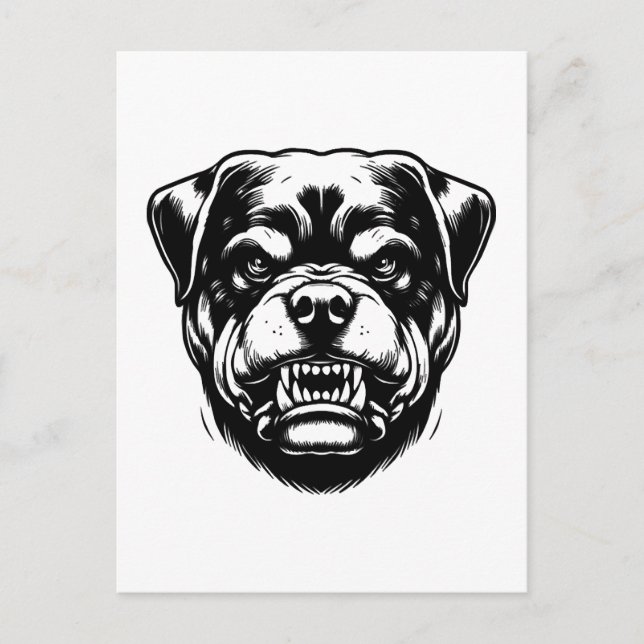 Rottweiler Hund  Postkarte (Vorderseite)