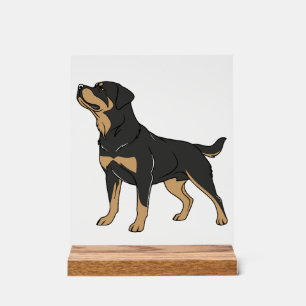 Rottweiler Hund, Rottweiler Hund stehend Acrylschild
