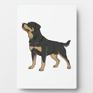 Rottweiler Hund, Rottweiler Hund stehend Fotoplatte