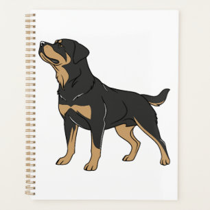 Rottweiler Hund, Rottweiler Hund stehend Planer