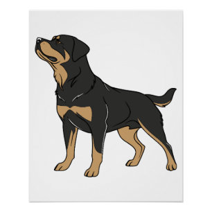 Rottweiler Hund, Rottweiler Hund stehend Poster