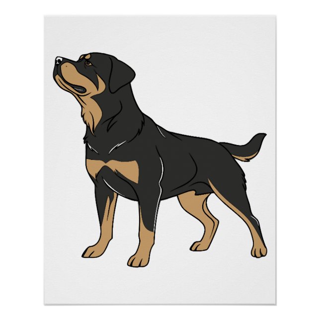 Rottweiler Hund, Rottweiler Hund stehend Poster (Vorderseite)