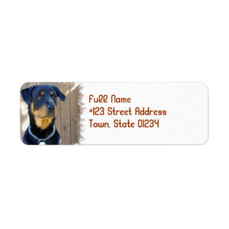 Rottweiler Hund Rücksendeadresse