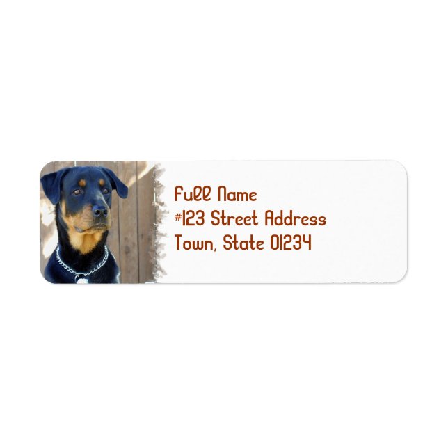 Rottweiler Hund Rücksendeadresse (Vorne)