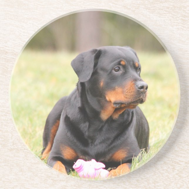 Rottweiler Hund Sandstein Untersetzer (Vorne)