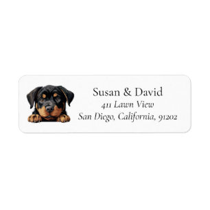 Rottweiler Hunde Rasse Heimtiere Liebhaber