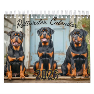 Rottweiler Hunde Wandkalender 2026