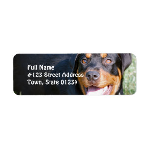 Rottweiler HundeRücksendeadresse-Aufkleber
