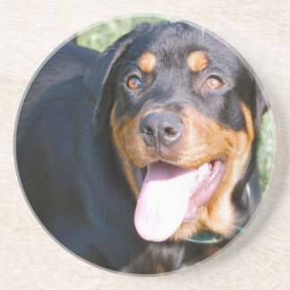 Rottweiler HundeUntersetzer Untersetzer