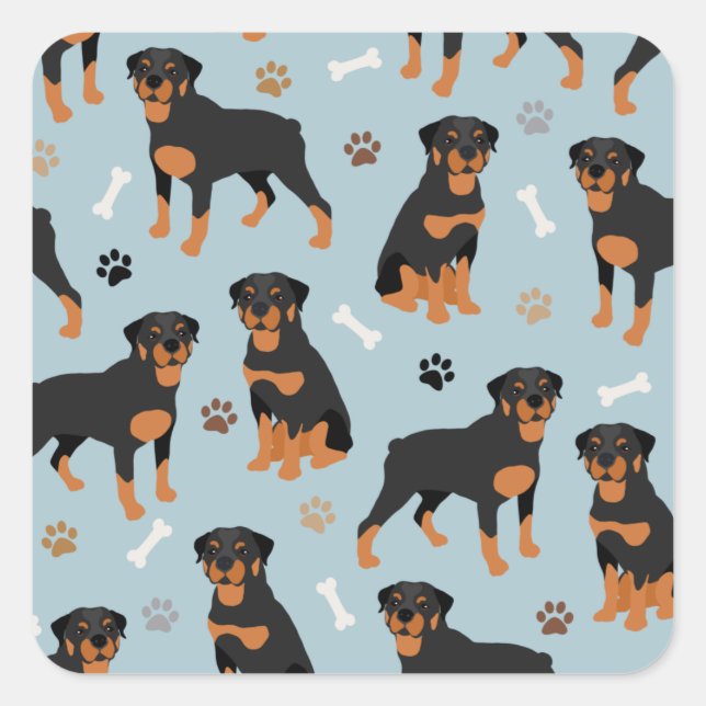Rottweiler Hundknochen und Paws Quadratischer Aufkleber (Vorderseite)