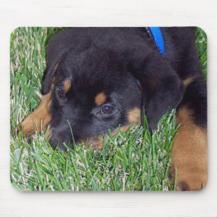 Rottweiler-Jungtier Mousepad
