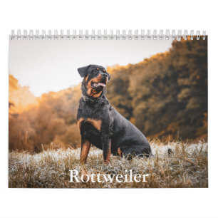 Rottweiler Kalender