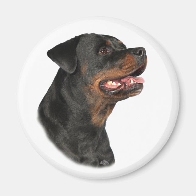 Rottweiler-Kopfmagnet Magnet (Vorne)