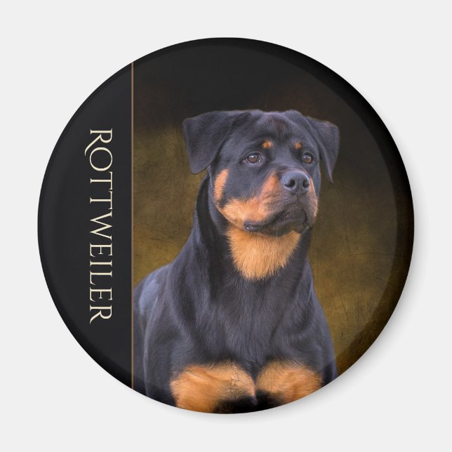 Rottweiler Kühlschrankmagnet Magnet (Vorne)