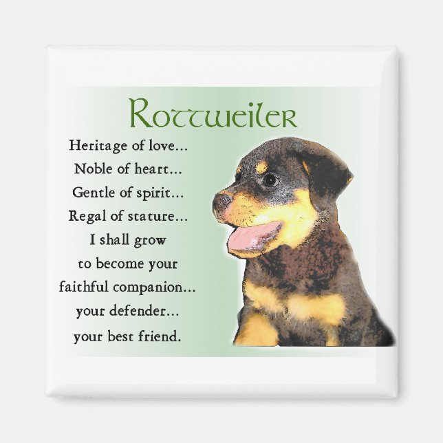 Rottweiler Kunstgeschenke Magnet (Vorne)
