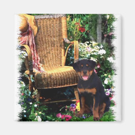 Rottweiler Kunstgeschenke Magnet