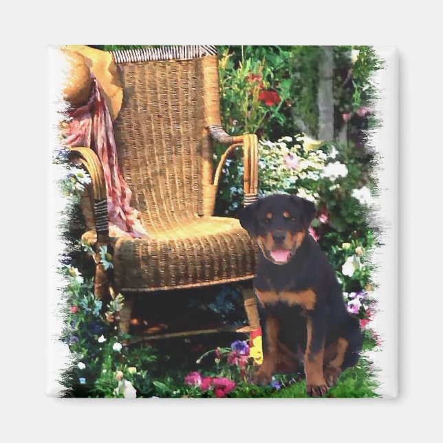 Rottweiler Kunstgeschenke Magnet (Vorne)