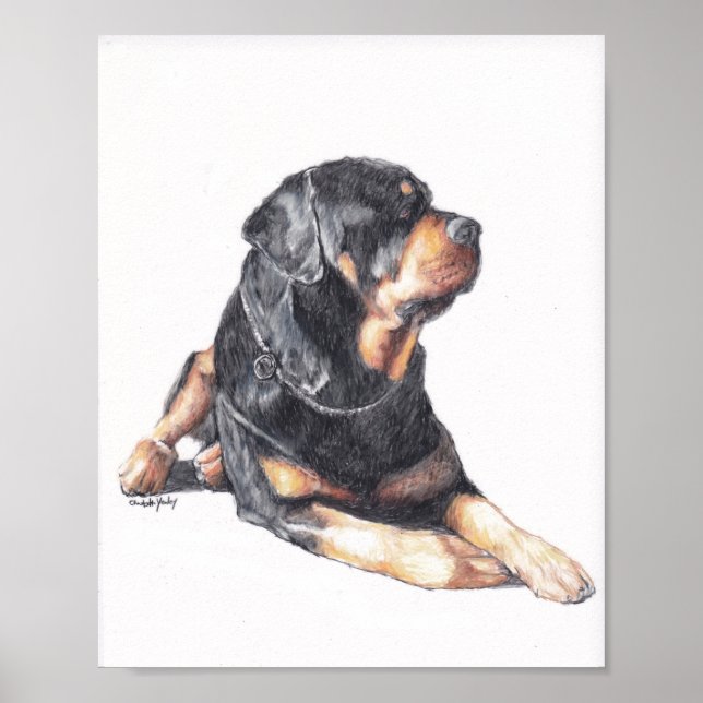 Rottweiler Lay Dog Art Print Poster (Vorne)