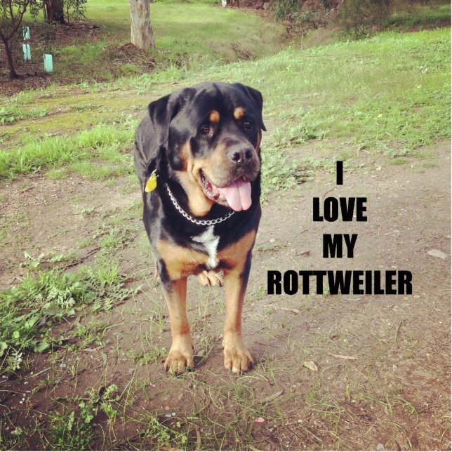 Rottweiler-Liebe Fotoskulptur Schlüsselanhänger (Vorne)